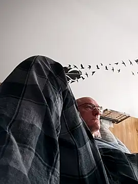 bogland33 online show from October 2025 12:14:02 PM