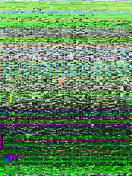 ahross online show from October 2025 09:53:01 AM