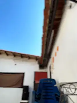 Leo bunny hot online show from February 2026 07:17:02 PM