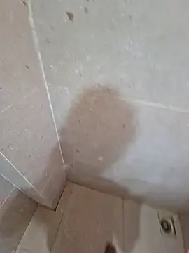 vivanpraj999 online show from November 2025 04:23:02 AM