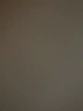 ADilil online show from March 2026 05:10:02 AM