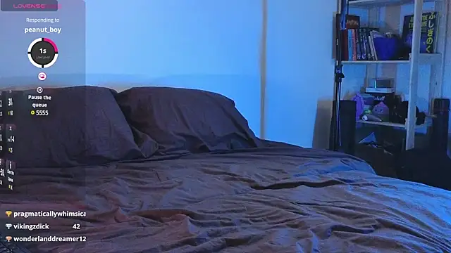 Space X Roxy  online show from January 2025 10:30:02 PM