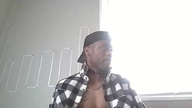 PETER-RABIT online show from December 2024 02:21:01 PM