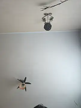 vulpe8400 online show from April 2026 08:04:02 AM