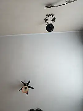 vulpe8400 online show from April 2026 09:02:01 AM