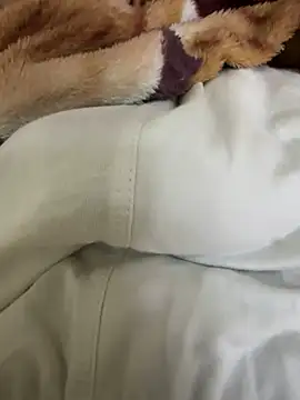 Snapshot of hamed-697 chatting on December 2024 09:57:01 PM hamed-697 online show from December 2024 09:57:01 PM