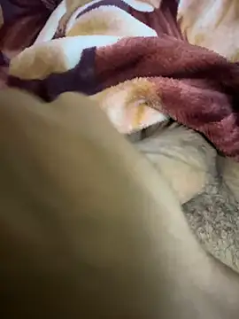 Snapshot of hamed-697 chatting on December 2024 11:23:02 PM hamed-697 online show from December 2024 11:23:02 PM