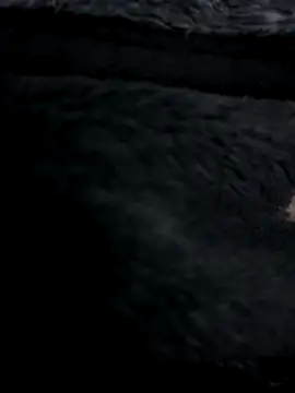 MetalJoint2 online show from November 2025 03:32:02 AM