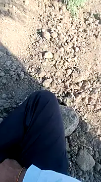 dickerdaddy25 online show from February 2025 04:26:02 AM