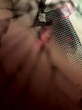 lescro95  online show from January 2026 04:11:02 PM