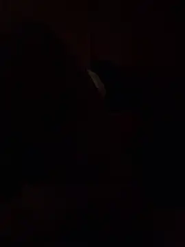 Dikkiduohottt online show from December 2024 05:14:02 AM