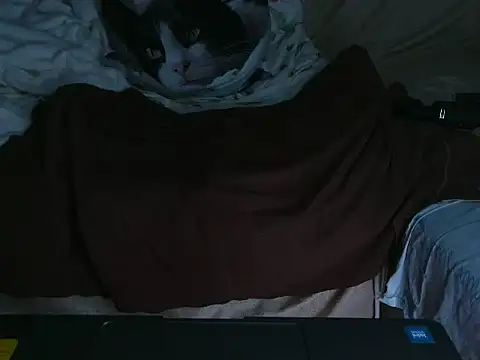 VeneRed online show from October 2025 09:24:01 PM