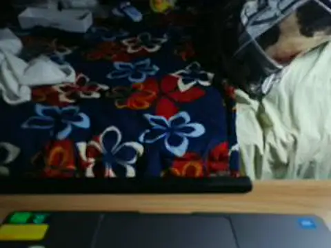 Snapshot of VeneRed chatting on May 2026 08:32:01 PM VeneRed online show from May 2026 08:32:01 PM