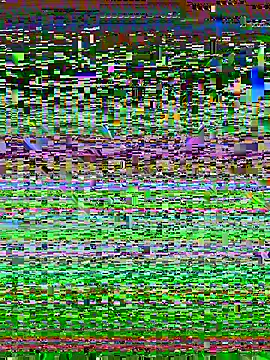 Snapshot of desiduzz21 chatting on February 2025 11:24:02 AM desiduzz21 online show from February 2025 11:24:02 AM