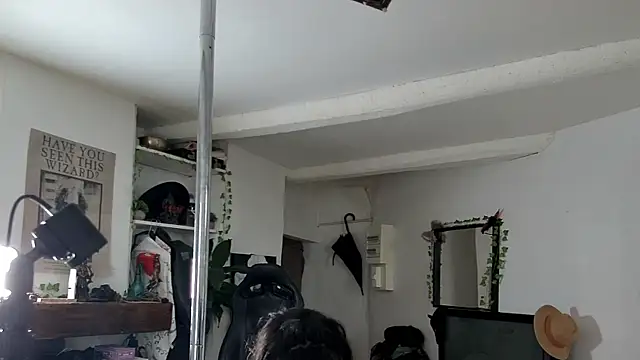 Snapshot of CeriseLapine chatting on November 2025 10:32:01 AM CeriseLapine online show from November 2025 10:32:01 AM