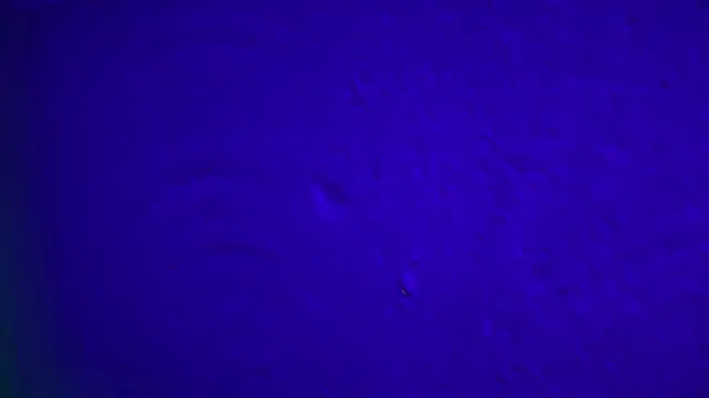 GymBoyVan online show from February 2026 04:07:01 AM