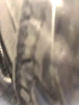 Snapshot of Diamond_Bunny_ chatting on September 2025 03:04:02 PM Diamond Bunny online show from September 2025 03:04:02 PM