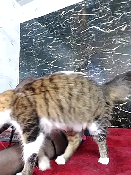 crislingery dolli online show from October 2025 01:43:02 PM