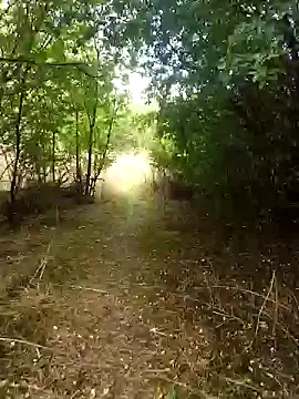 nataliecdlive online show from September 2025 01:33:01 PM