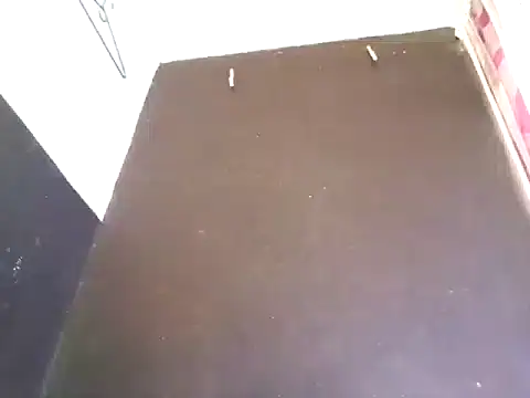 Loggan donnelly online show from October 2025 08:32:01 PM