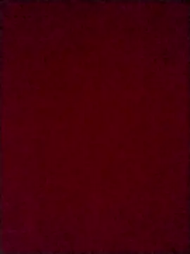 Luci foxx online show from October 2025 03:59:02 AM