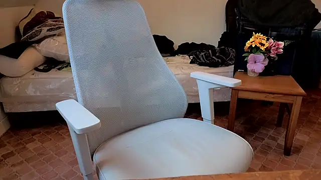 Snapshot of SteveStiffbone chatting on February 2026 02:05:02 PM SteveStiffbone online show from February 2026 02:05:02 PM