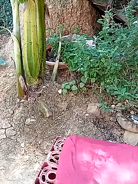 tayson  online show from January 2025 03:20:01 PM