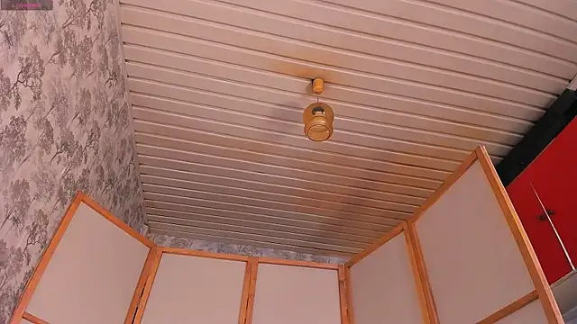 Snapshot of the_perfectgirl chatting on March 2025 12:48:02 PM the perfectgirl online show from March 2025 12:48:02 PM