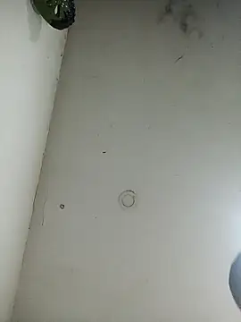 jeremiabello online show from March 2025 04:45:02 AM