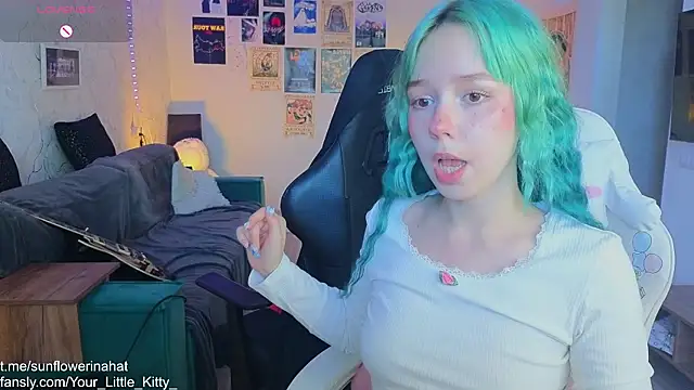 812sunflowerinahat online show from March 2025 05:47:01 AM