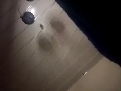 giuliana andrade online show from December 2024 03:36:02 AM