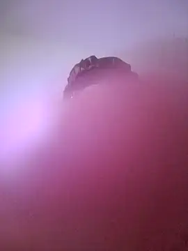 giuliana andrade online show from January 2025 10:59:01 PM