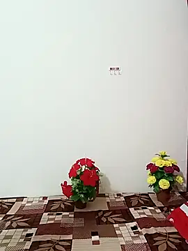 Saroj-Shah online show from October 2025 03:50:01 AM