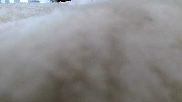 Heracles00 online show from October 2025 12:49:02 PM