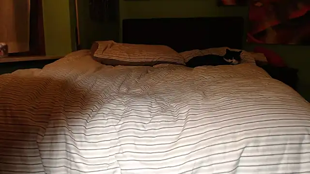 MASTERBULLY online show from February 2025 11:36:01 PM