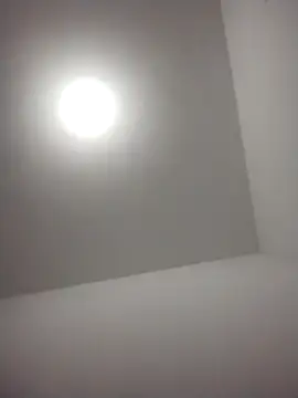 barboza991 online show from December 2024 11:48:01 PM