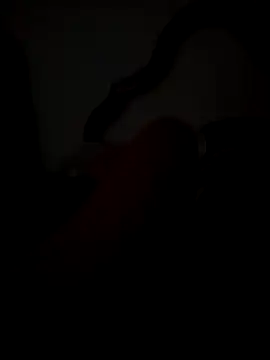 dulcepasionlove online show from April 2026 08:15:02 PM