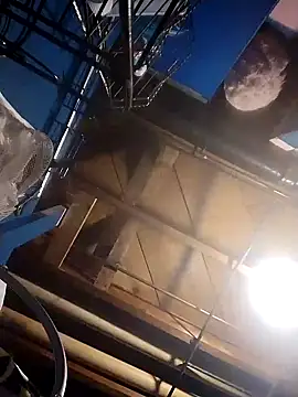 Whipit323 online show from December 2024 04:58:02 AM