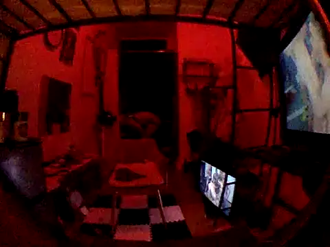 BottomVersVe02 online show from March 2026 08:19:01 AM