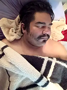 Brickstash online show from October 2025 04:36:02 PM