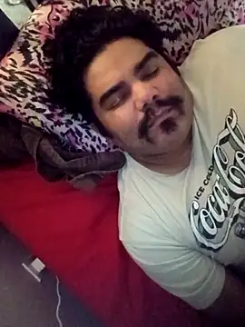 Brickstash online show from February 2026 06:50:01 AM