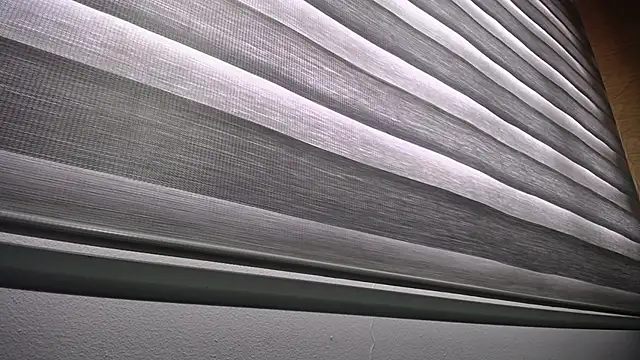 Snapshot of palmer_mIix chatting on December 2024 01:03:01 PM palmer mIix online show from December 2024 01:03:01 PM