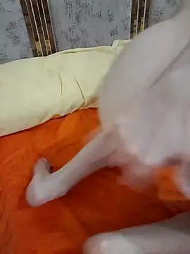 abyusif101099 online show from February 2025 04:57:01 AM