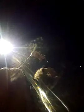 Beyond1978 online show from January 2026 02:47:02 AM