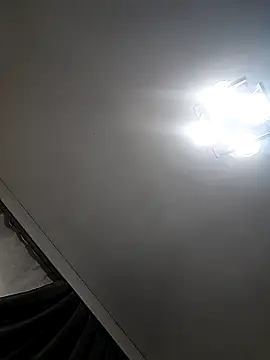 paladerler online show from February 2026 02:34:01 PM