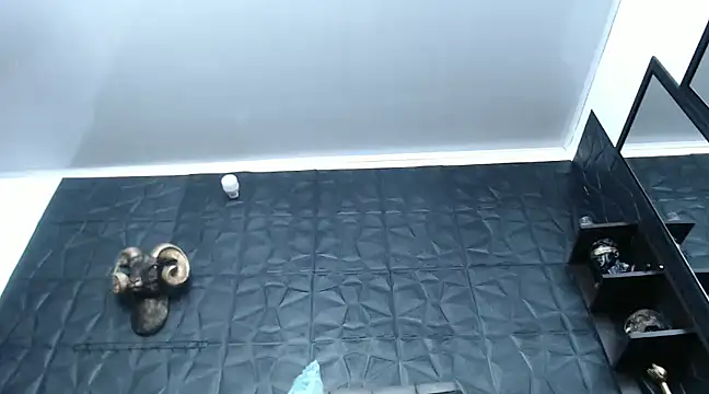 Hanna Fox 69 online show from December 2024 12:34:01 PM