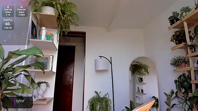 Johaphyton online show from January 2025 09:13:01 PM