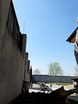 uber babe online show from March 2025 10:17:02 AM