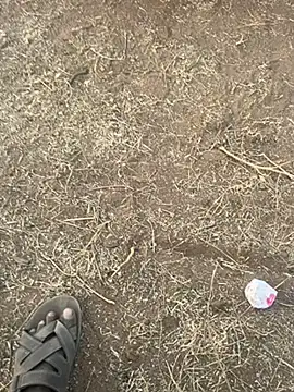 tamil000000 online show from March 2025 12:48:02 PM