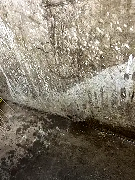 tamil000000 online show from January 2026 01:05:02 PM